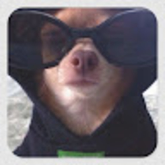 Meet your Posher, Amal - Picture 1 of 1